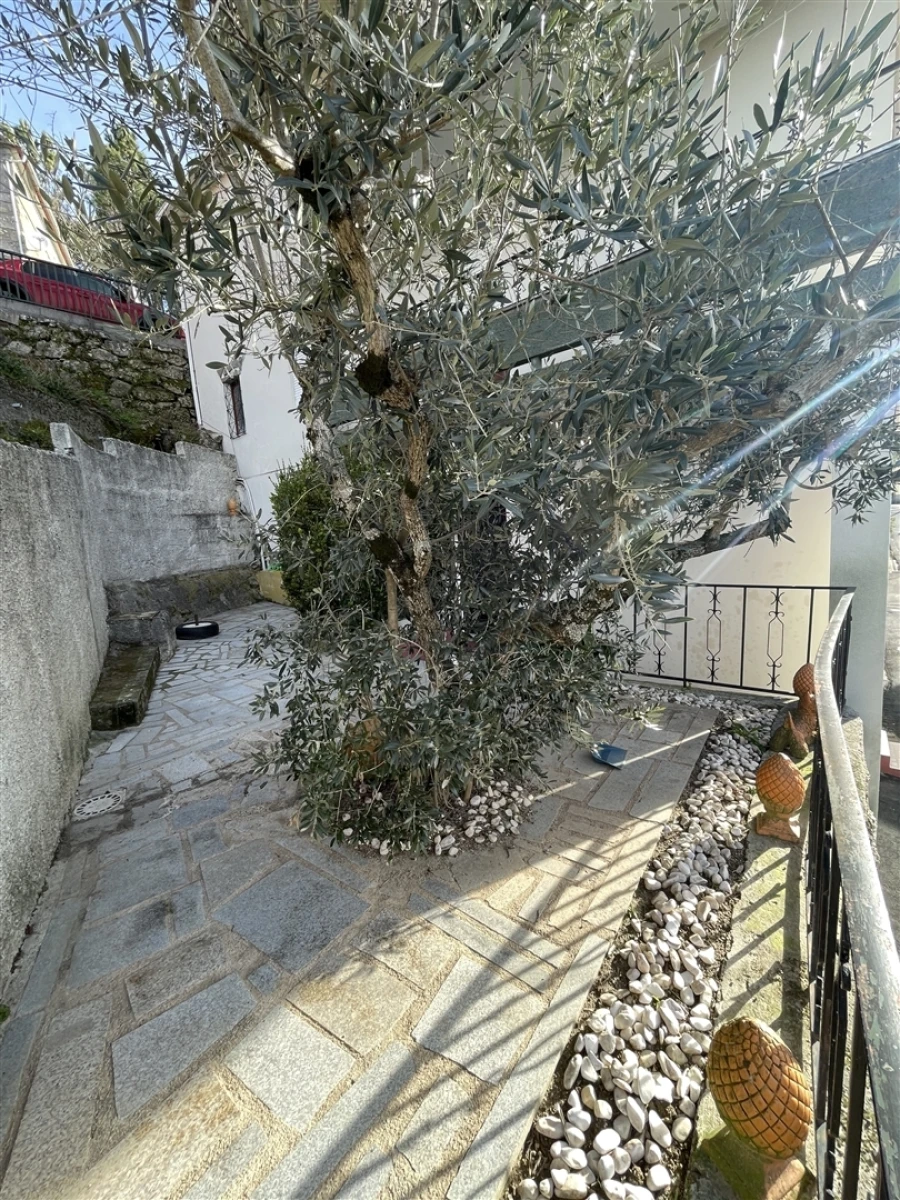 Moradia T5 para Venda em Aldeias e Mangualde da Serra Foto 34