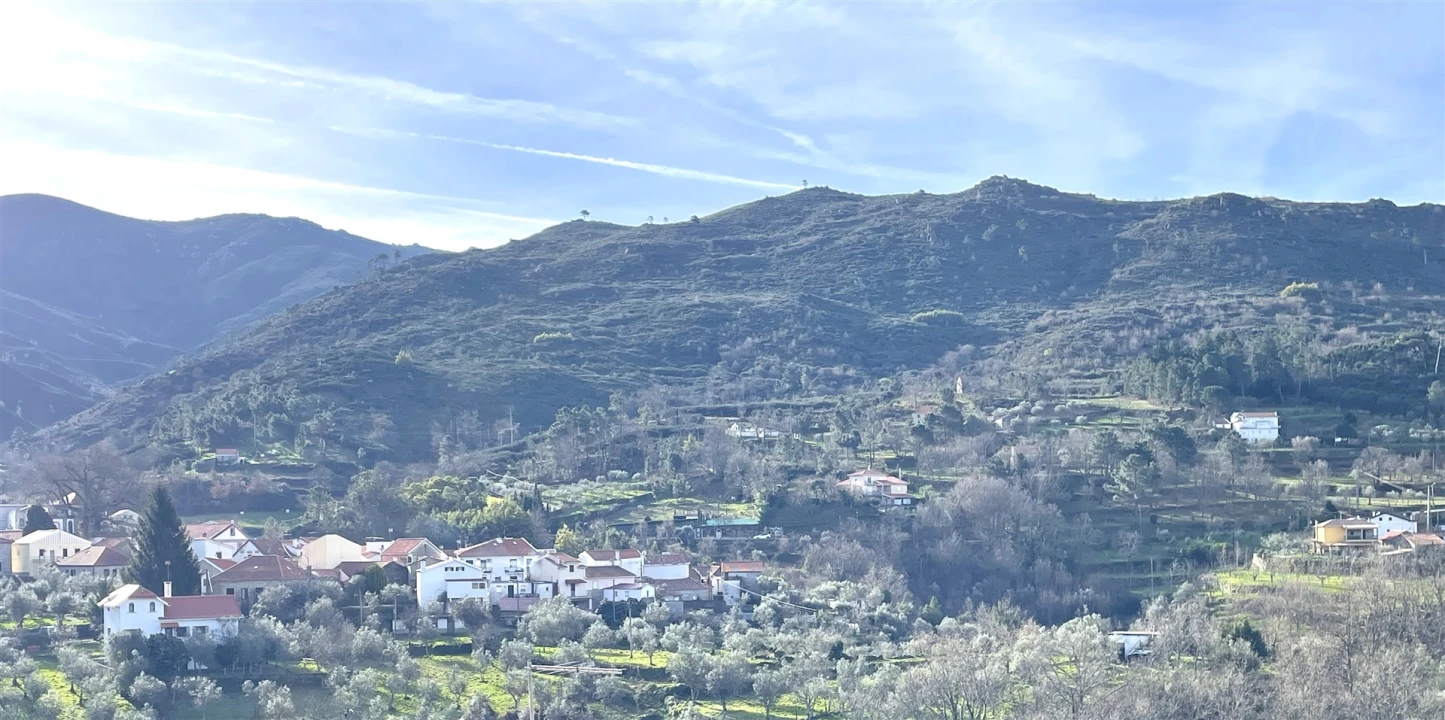 Moradia T5 para Venda em Aldeias e Mangualde da Serra Foto 24