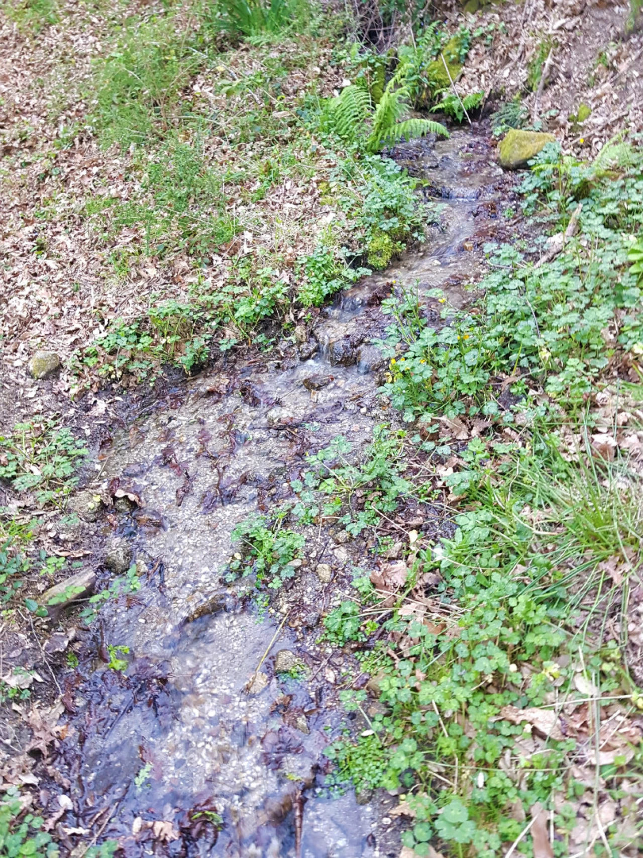 Quinta T0 para Venda em Esqueiros, Nevogilde e Travassós Foto 6