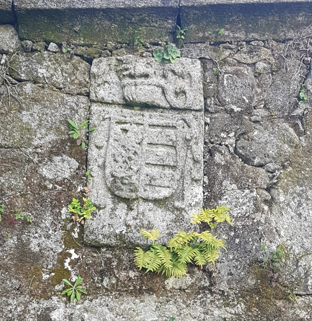 Quinta T0 para Venda em Esqueiros, Nevogilde e Travassós Foto 7