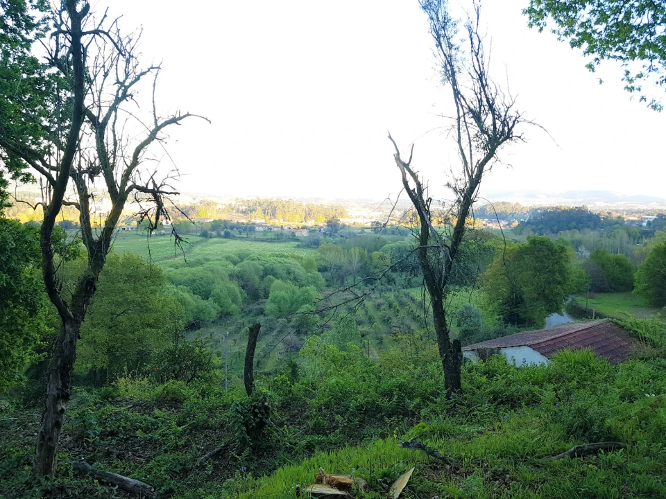 Quinta T0 para Venda em Esqueiros, Nevogilde e Travassós Foto 13