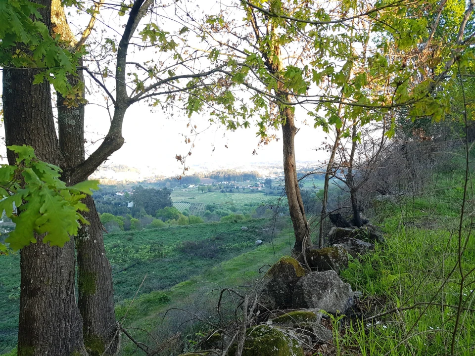 Quinta T0 para Venda em Esqueiros, Nevogilde e Travassós Foto 3