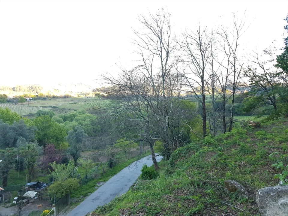 Quinta T0 para Venda em Esqueiros, Nevogilde e Travassós Foto 12