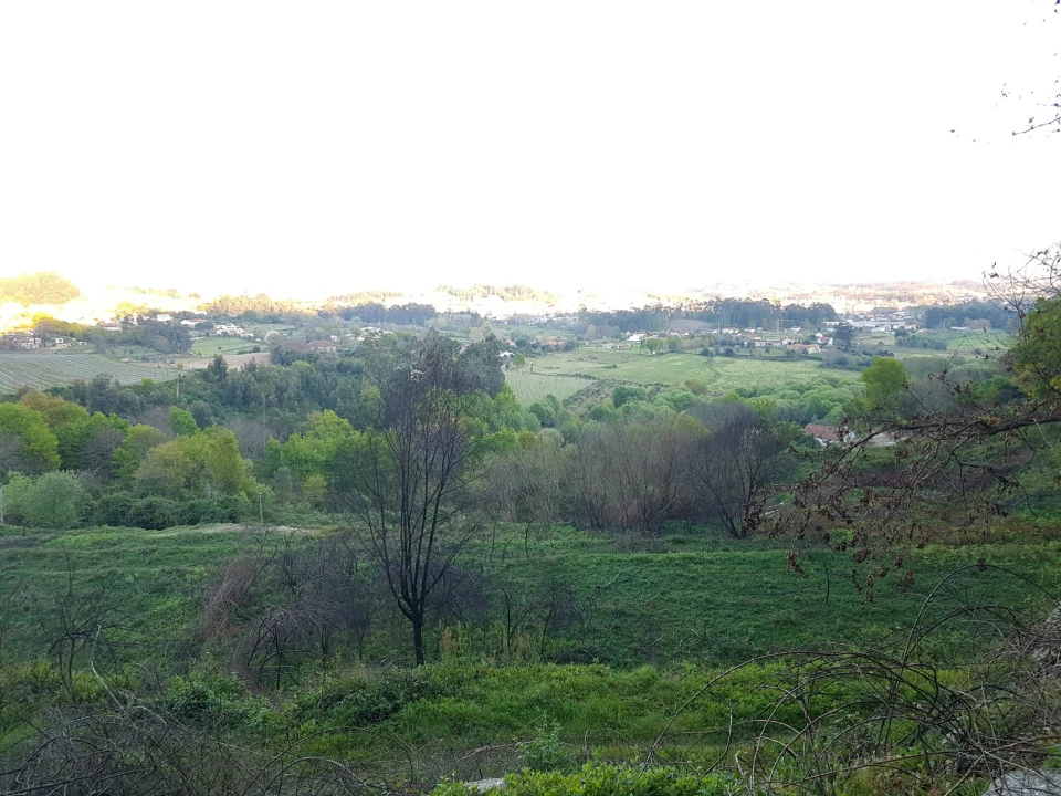 Quinta T0 para Venda em Esqueiros, Nevogilde e Travassós Foto 15