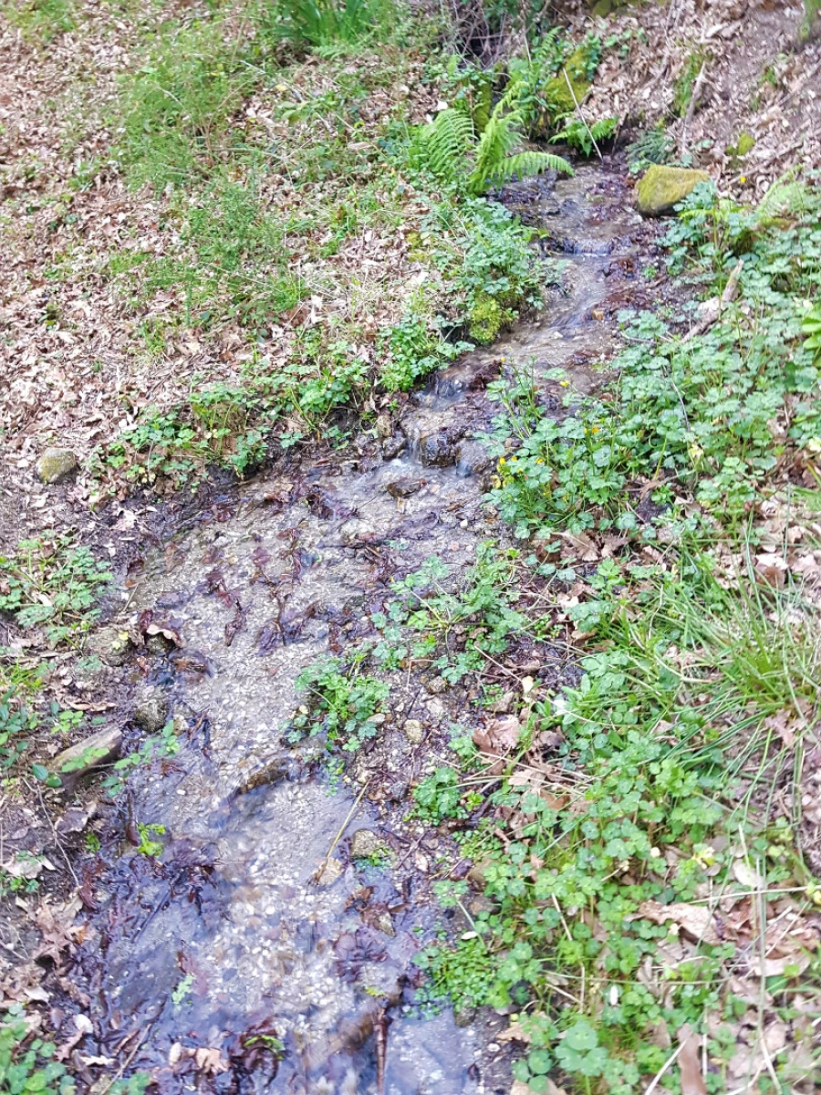 Quinta T0 para Venda em Esqueiros, Nevogilde e Travassós Foto 6