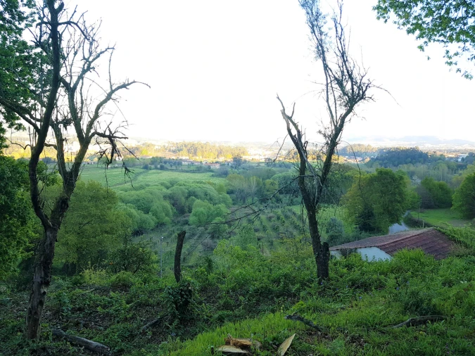 Quinta T0 para Venda em Esqueiros, Nevogilde e Travassós Foto 13