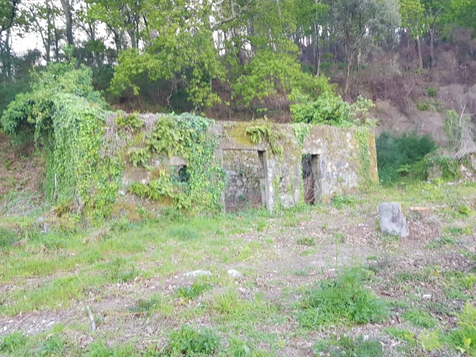 Quinta T0 para Venda em Esqueiros, Nevogilde e Travassós Foto 9