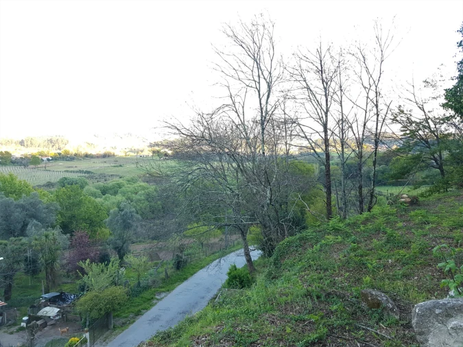 Quinta T0 para Venda em Esqueiros, Nevogilde e Travassós Foto 12