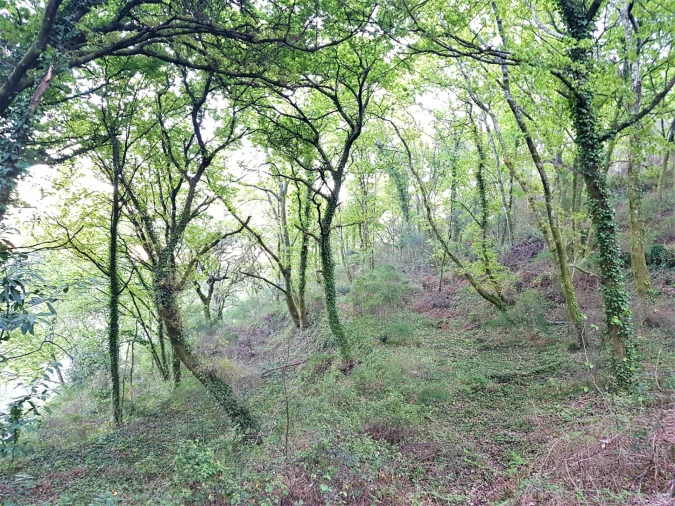 Quinta T0 para Venda em Esqueiros, Nevogilde e Travassós Foto 5