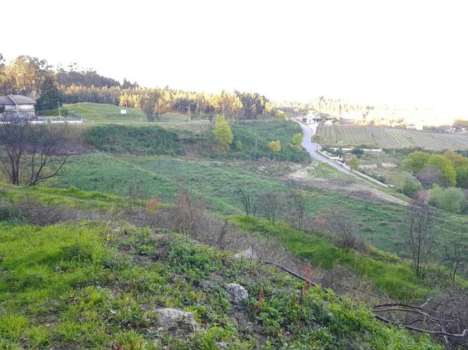 Quinta T0 para Venda em Esqueiros, Nevogilde e Travassós Foto 14