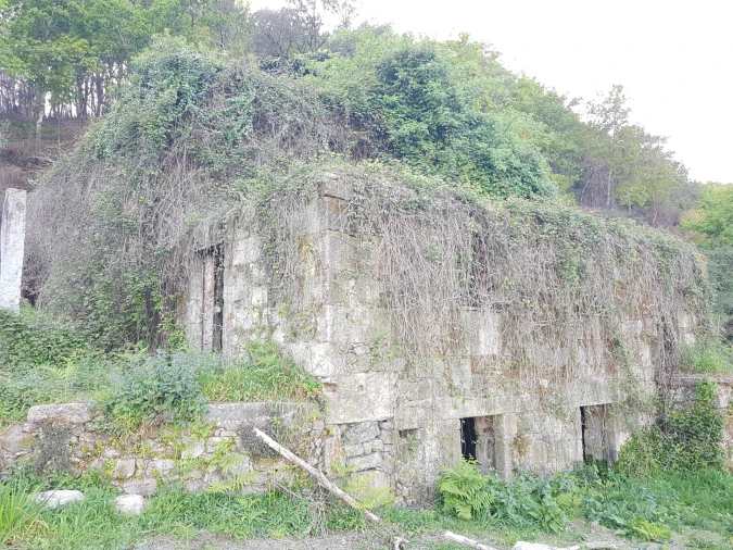 Quinta T0 para Venda em Esqueiros, Nevogilde e Travassós Foto 10