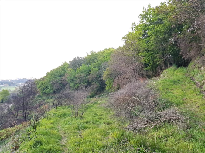 Quinta T0 para Venda em Esqueiros, Nevogilde e Travassós Foto 2