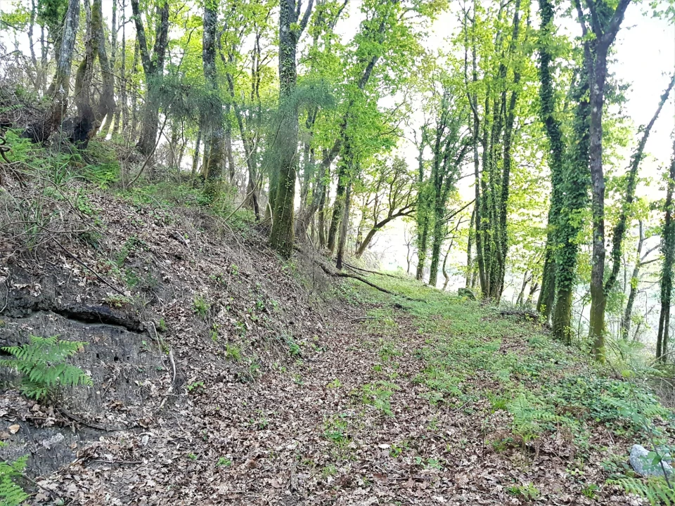 Quinta T0 para Venda em Esqueiros, Nevogilde e Travassós Foto 4