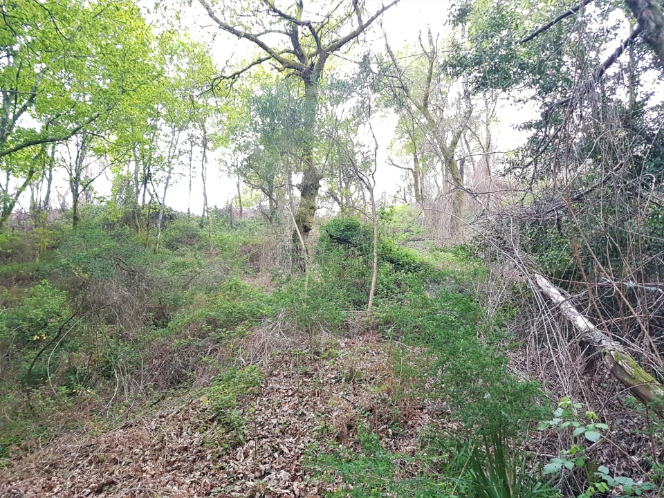 Quinta T0 para Venda em Esqueiros, Nevogilde e Travassós Foto 16