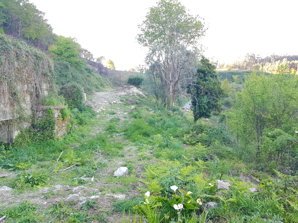 Quinta T0 para Venda em Esqueiros, Nevogilde e Travassós Foto 11