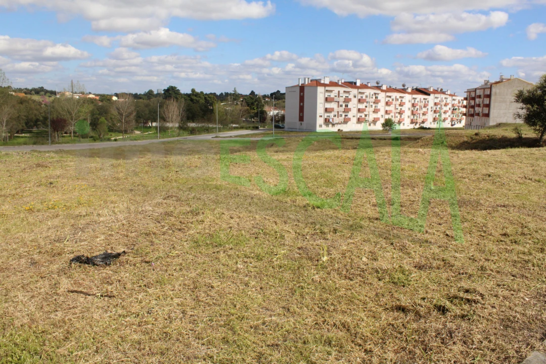 Terreno para Venda em Cartaxo e Vale da Pinta Foto 20