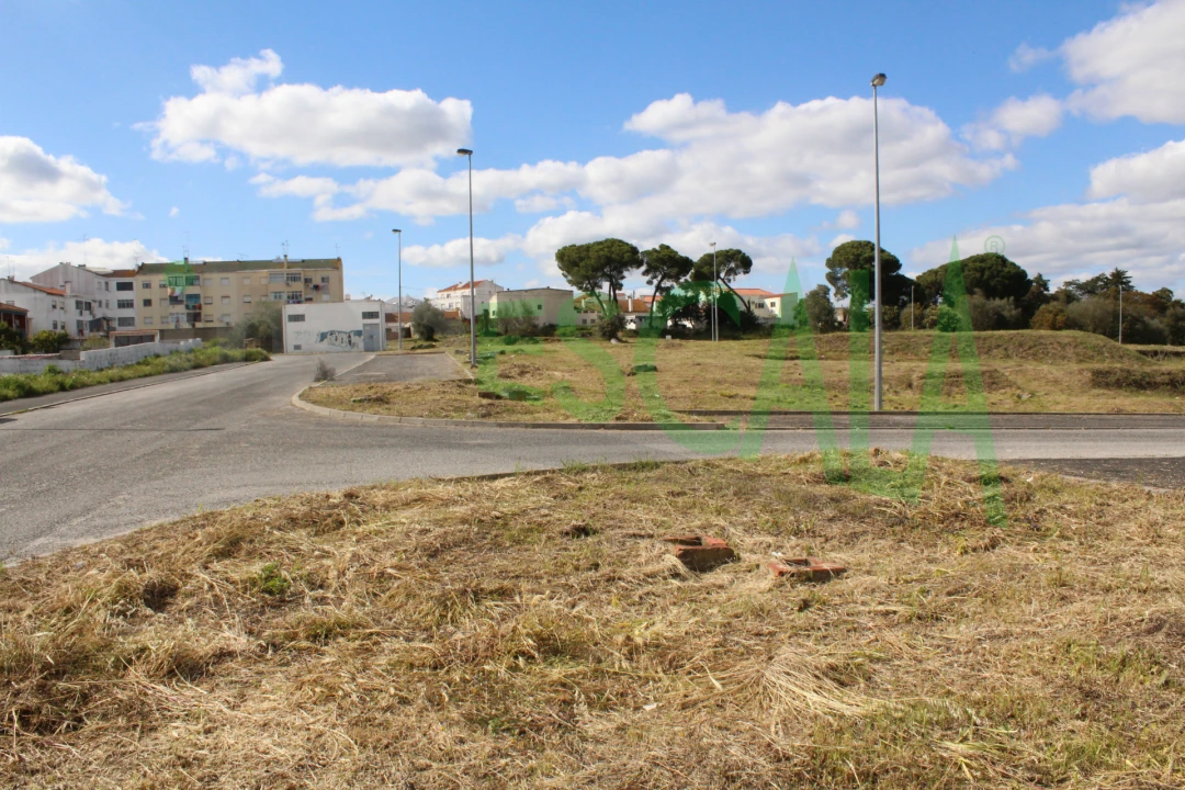 Terreno para Venda em Cartaxo e Vale da Pinta Foto 10