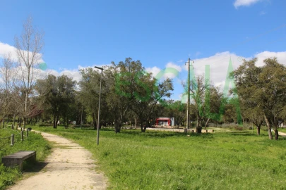 Terreno para Venda em Cartaxo e Vale da Pinta