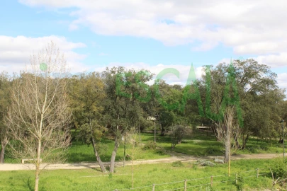 Terreno para Venda em Cartaxo e Vale da Pinta