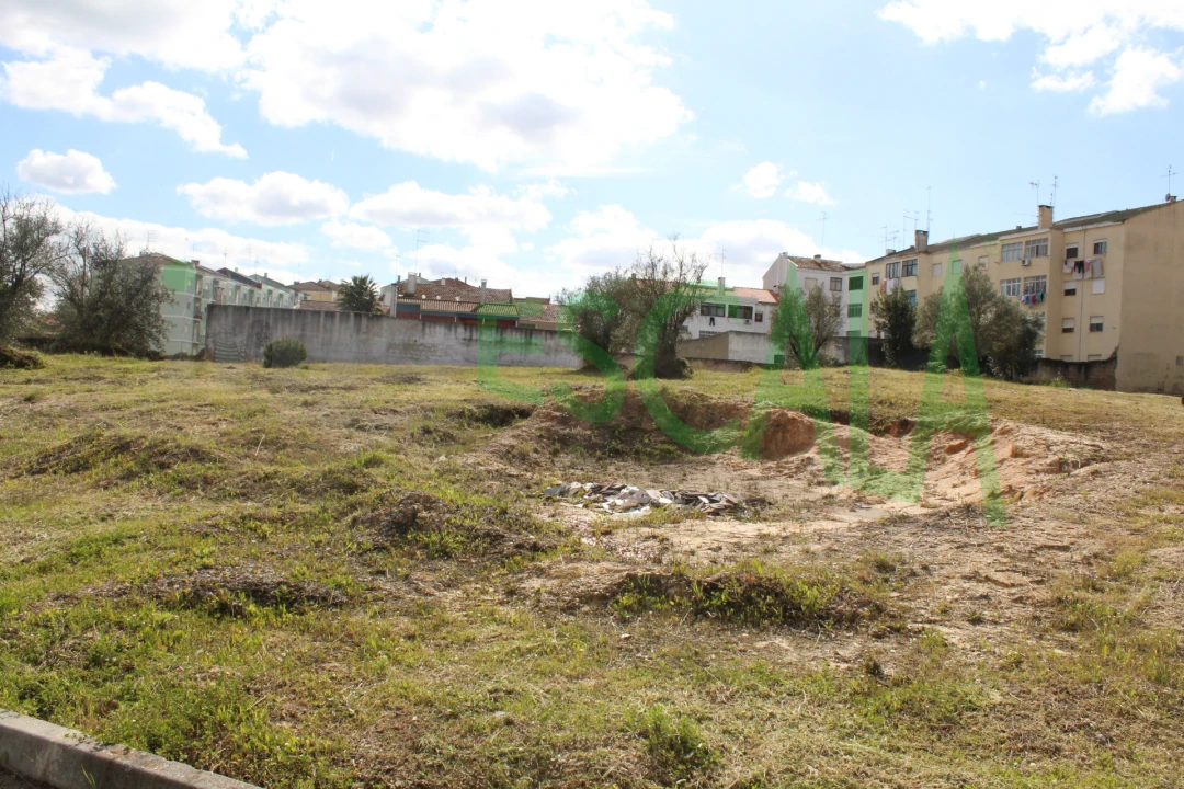 Terreno para Venda em Cartaxo e Vale da Pinta Foto 5