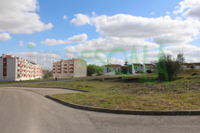 Terreno para Venda em Cartaxo e Vale da Pinta Foto 16