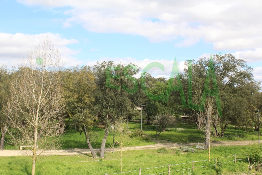 Terreno para Venda em Cartaxo e Vale da Pinta Foto 18