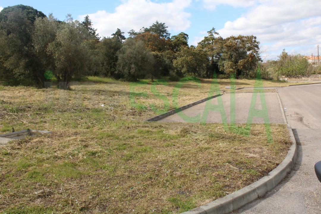 Terreno para Venda em Cartaxo e Vale da Pinta Foto 17