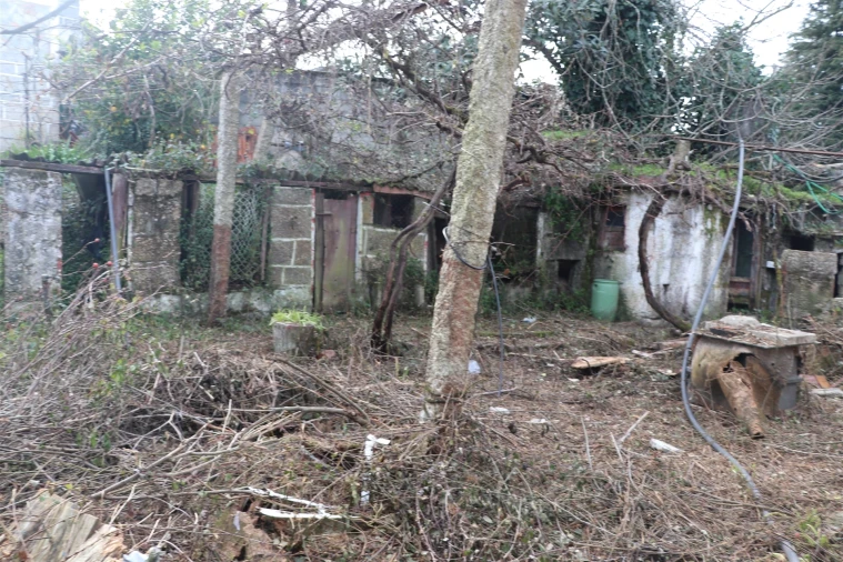 Moradia T3 para Venda em São Tomé de Negrelos Foto 16