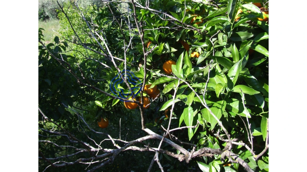 Moradia T5 para Venda em Oledo Foto 11