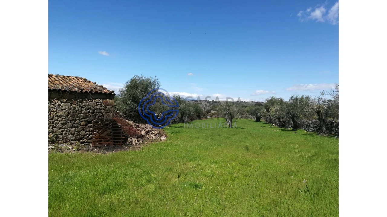 Moradia T5 para Venda em Oledo Foto 1