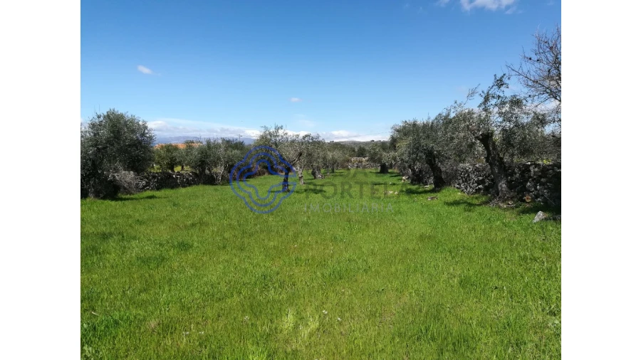 Moradia T5 para Venda em Oledo Foto 9