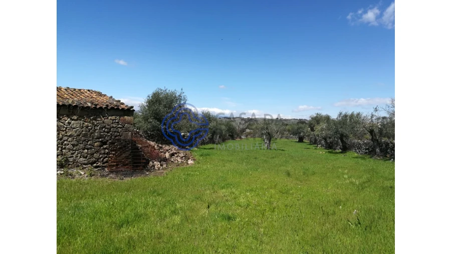 Moradia T5 para Venda em Oledo Foto 1