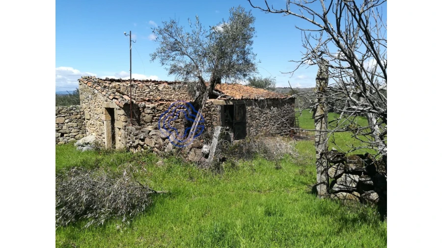 Moradia T5 para Venda em Oledo Foto 5