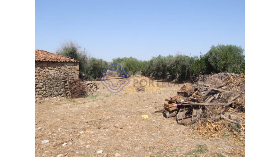 Moradia T5 para Venda em Oledo Foto 38