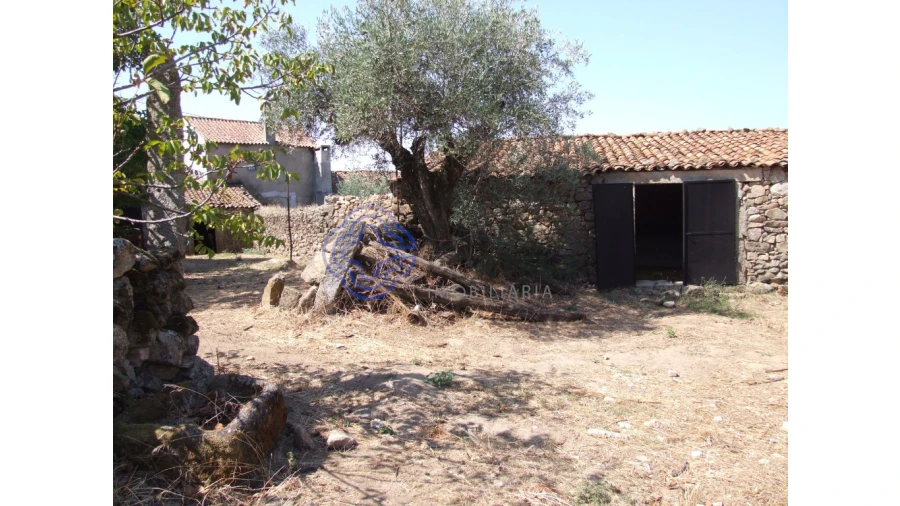 Moradia T5 para Venda em Oledo Foto 39