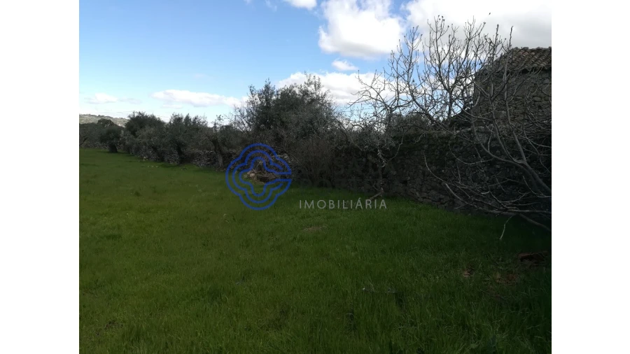 Moradia T5 para Venda em Oledo Foto 60