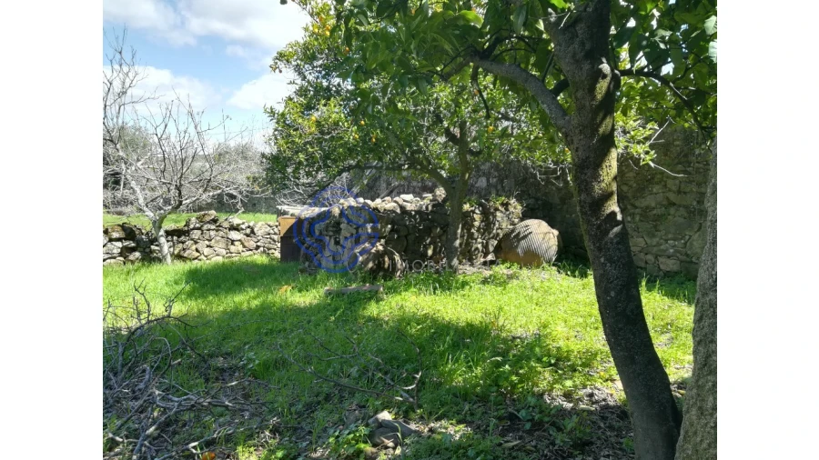 Moradia T5 para Venda em Oledo Foto 58