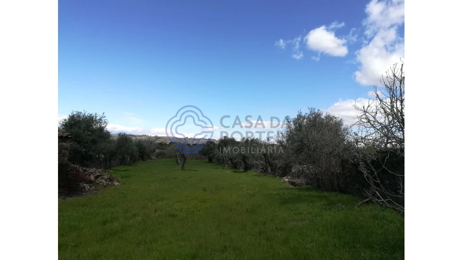 Moradia T5 para Venda em Oledo Foto 29