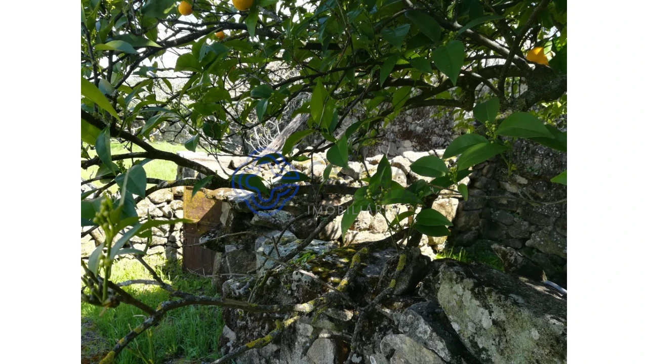 Moradia T5 para Venda em Oledo Foto 6