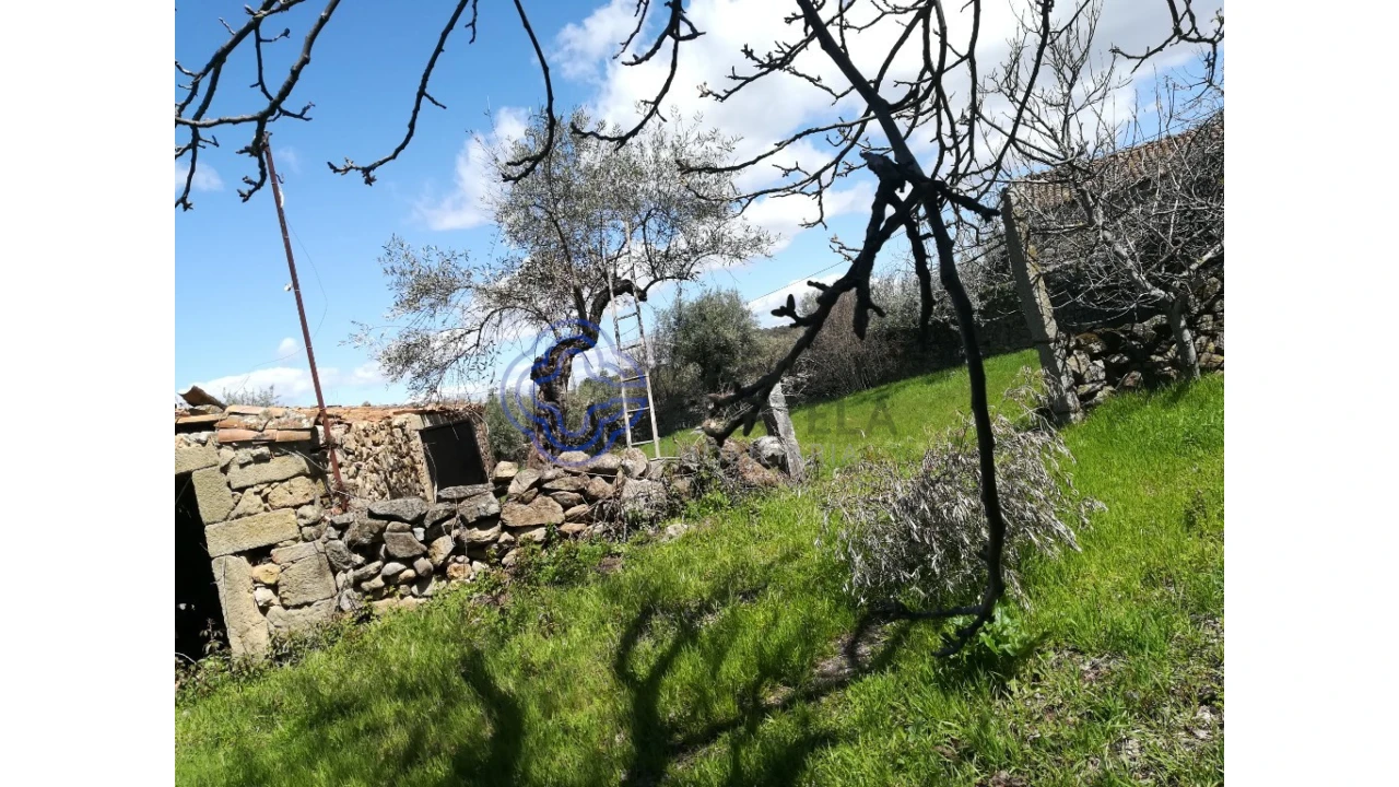 Moradia T5 para Venda em Oledo Foto 41