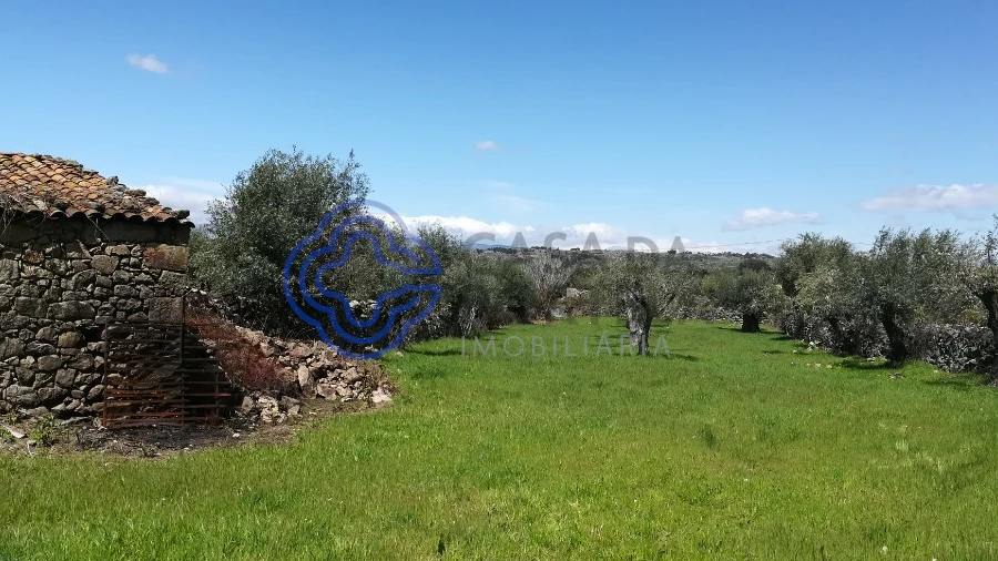 Moradia T5 para Venda em Oledo