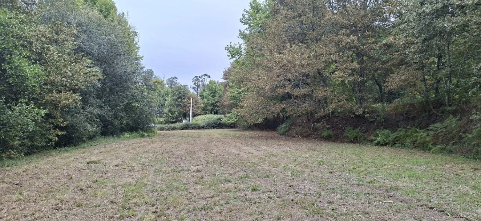 Terreno para Venda em Torre e Portela Foto 1