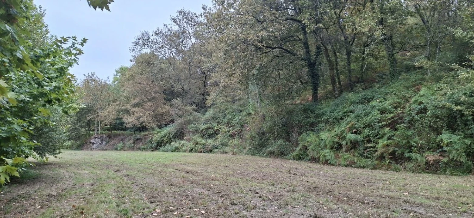 Terreno para Venda em Torre e Portela Foto 5