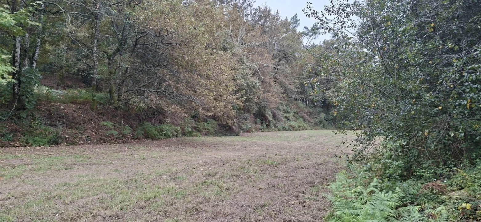 Terreno para Venda em Torre e Portela Foto 16