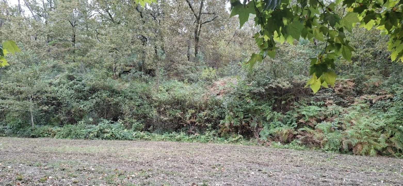 Terreno para Venda em Torre e Portela Foto 14
