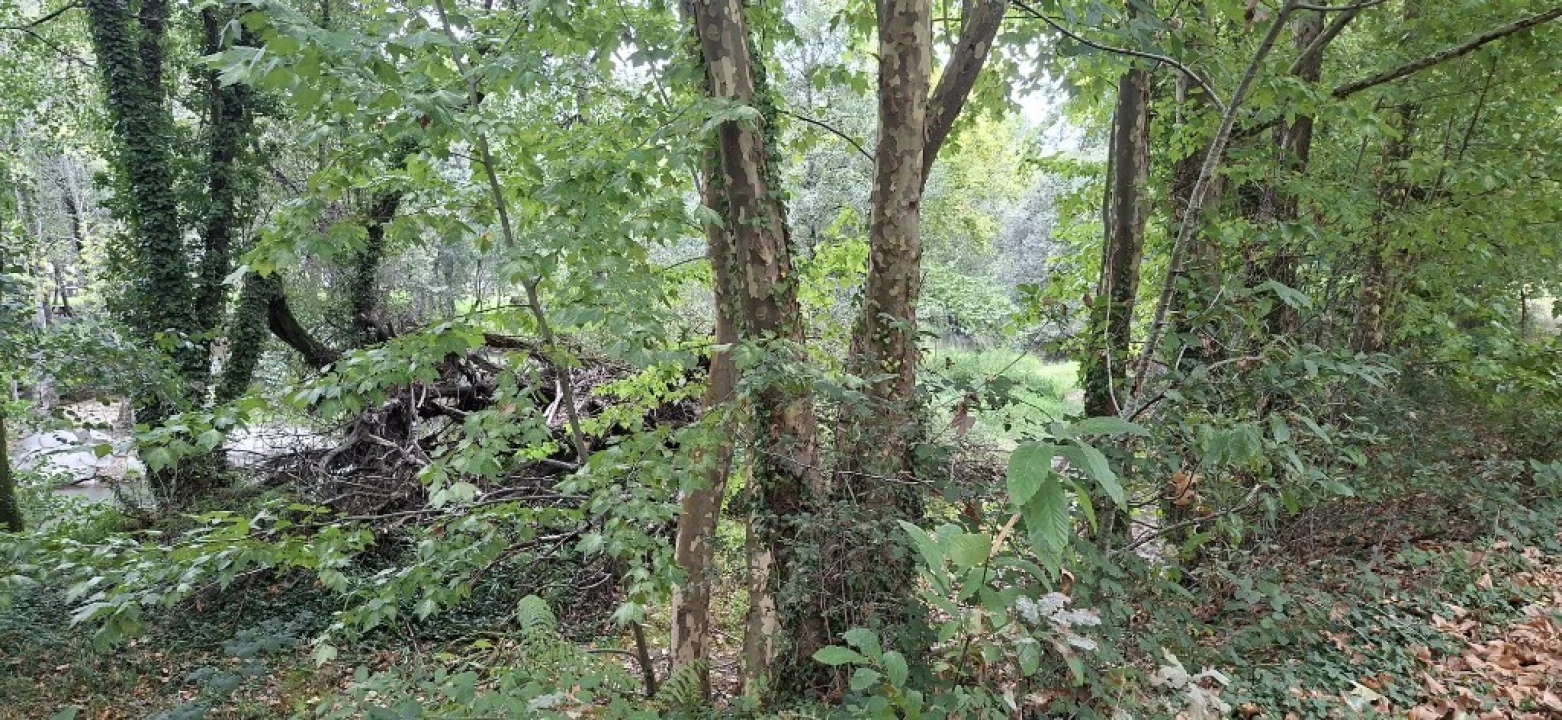 Terreno para Venda em Torre e Portela Foto 9