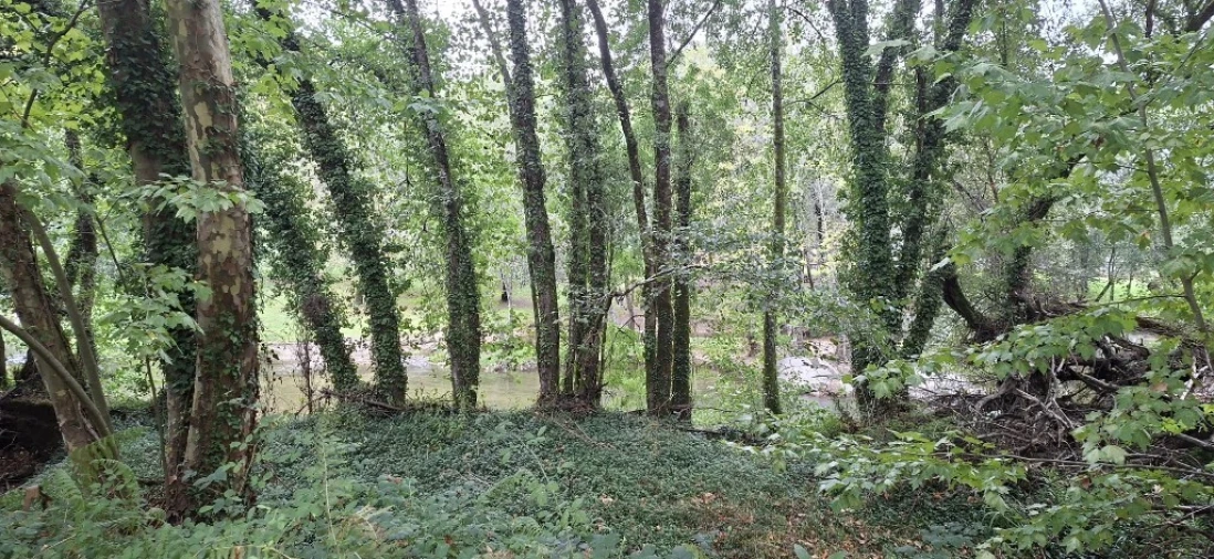Terreno para Venda em Torre e Portela Foto 8