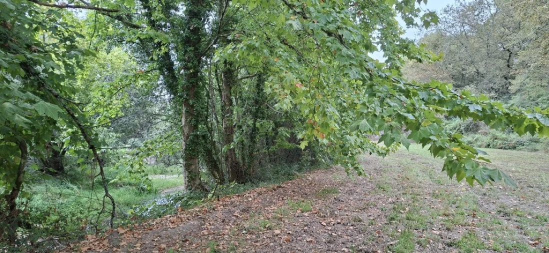 Terreno para Venda em Torre e Portela Foto 7