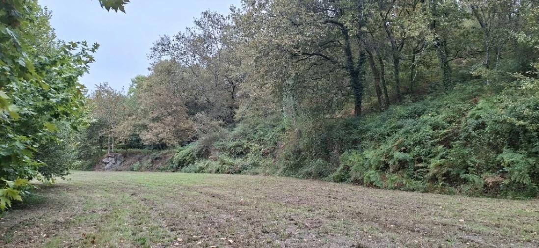 Terreno para Venda em Torre e Portela Foto 5
