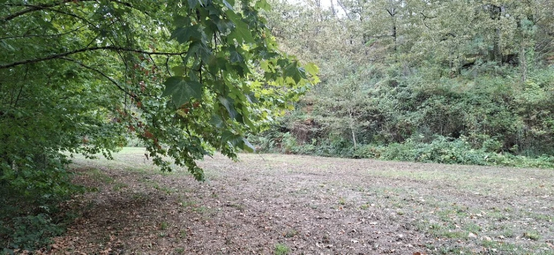 Terreno para Venda em Torre e Portela Foto 6